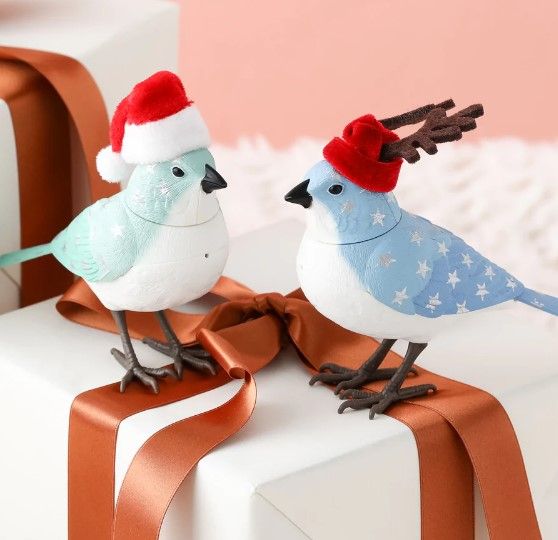 毎年大好評🎅ミュージックバードクリスマス限定デザインが今年も登場🐥